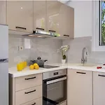 Apartment Gkountis *