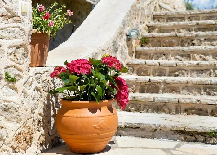 Gkountis Tsoukaladhes