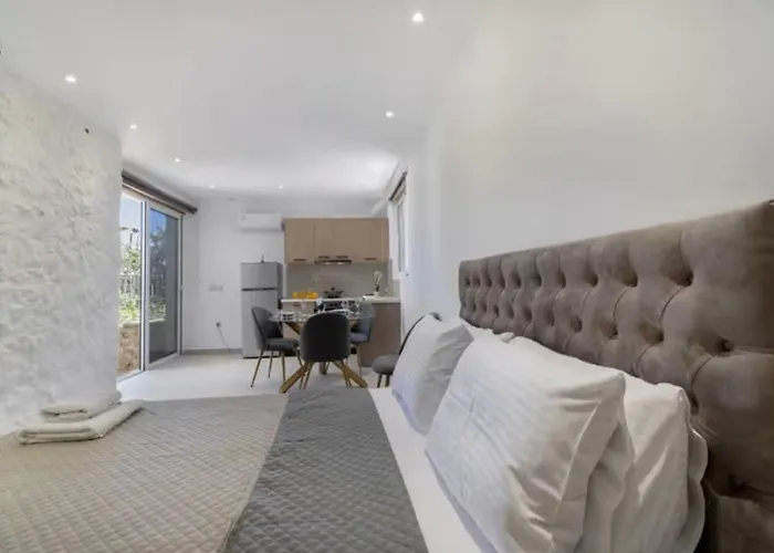 Gkountis Apartment Tsoukaladhes